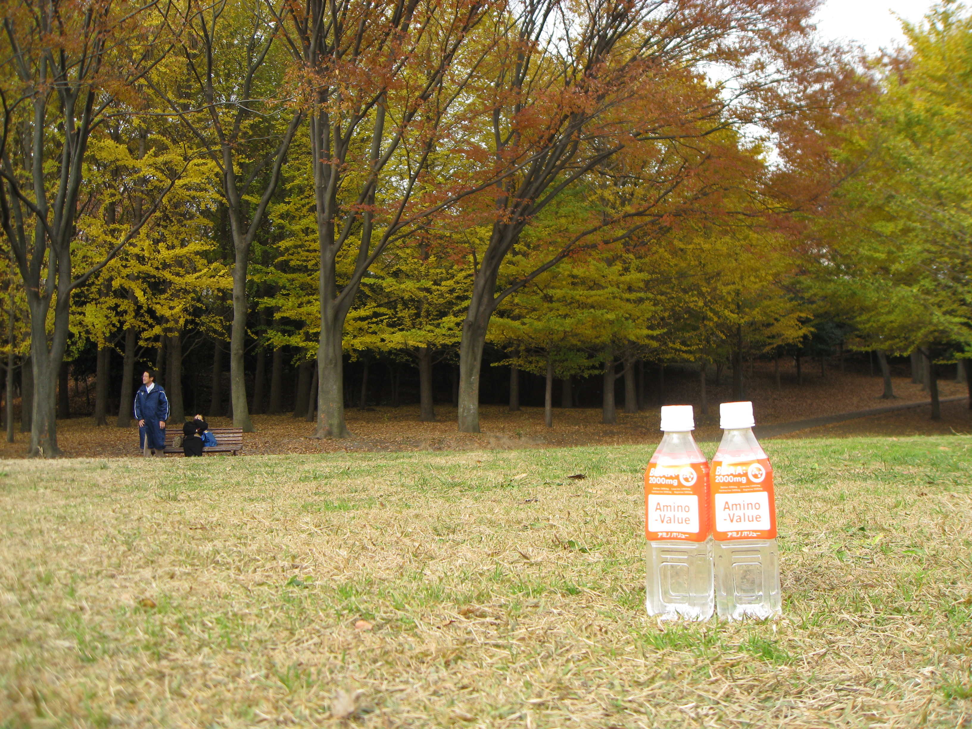 20071202avrc 010.jpg